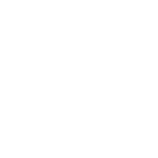 Logo Carta Natal Integral