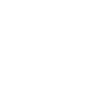Logo Parana Rowing Club