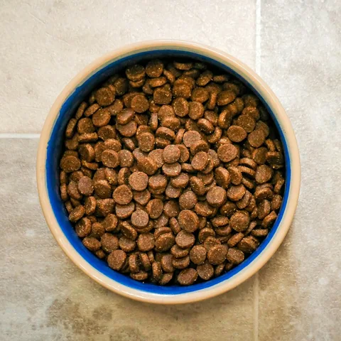 Alimento balanceado en un cuenco