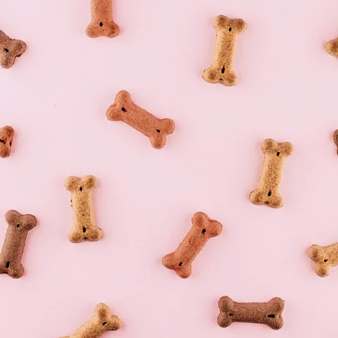 Galletitas en forma de hueso